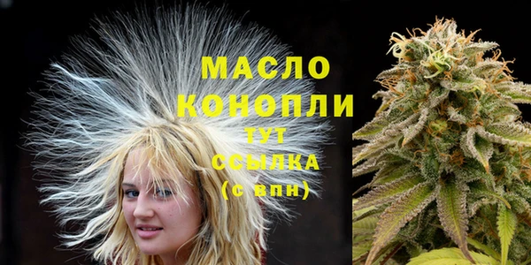 Альфа ПВП Бородино