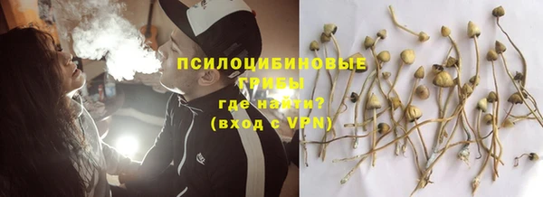 Альфа ПВП Бородино