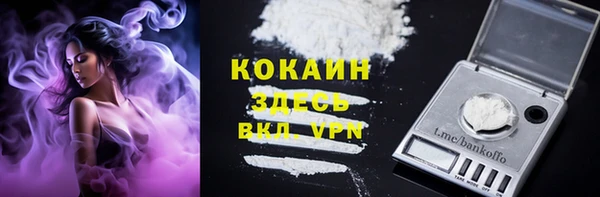 Альфа ПВП Бородино