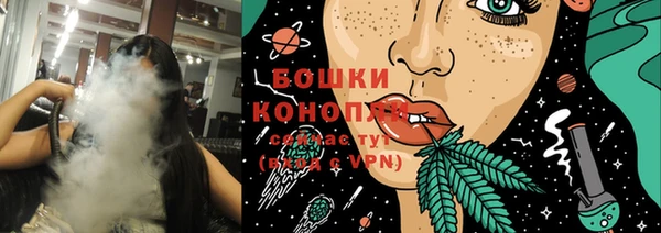 Альфа ПВП Бородино