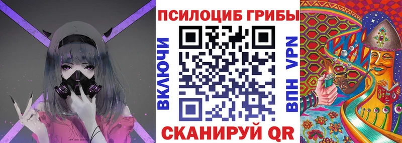 Галлюциногенные грибы Psilocybine cubensis  Пятигорск 