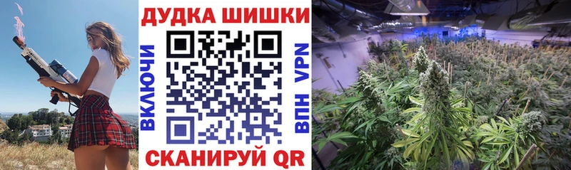 мориарти Telegram  Пятигорск  Марихуана конопля 